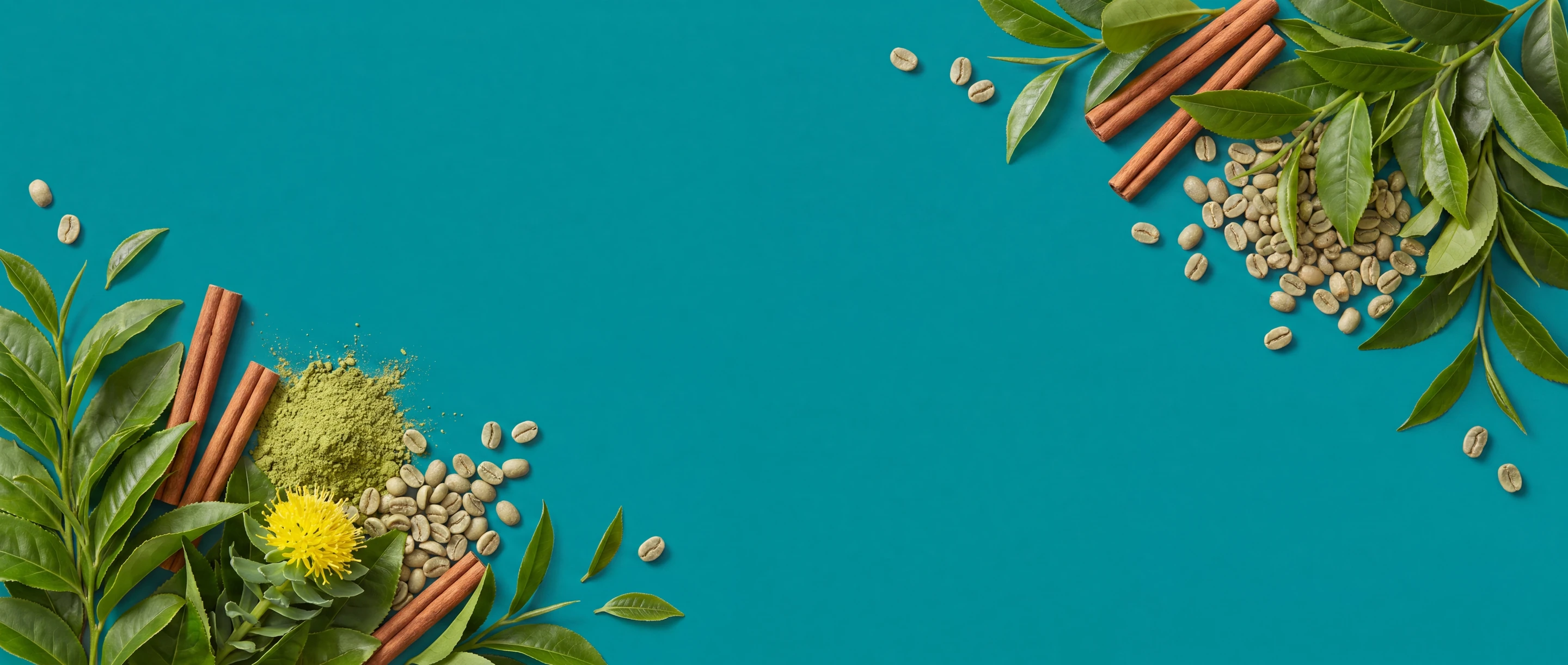 Weight Management